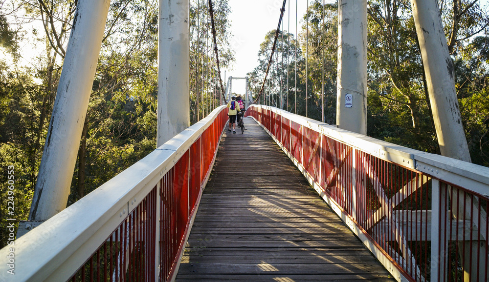 Kanes Bridge, a pedestrian single-span suspension bridge, over the Yarra River with family crossing it, at Yarra Bend Park, Melbourne, Victoria, Australia