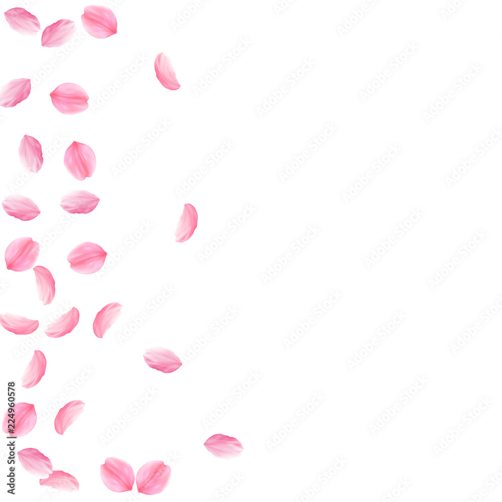 Sakura petals falling down. Romantic pink silky medium flowers. Sparse flying cherry petals. Scatter