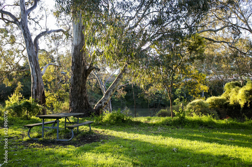 Picnic table in afternoon sunlight at Yarra Bend Park, Melbourne, Australia