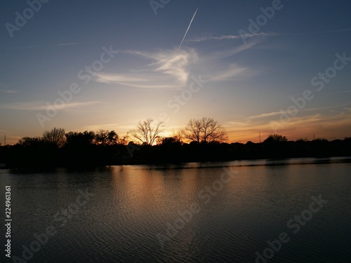 Trees silhouetted in a gorgeous sunset on the water 