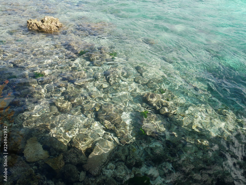 Fototapeta premium Rocks and corals are visible through the crystal clear waters