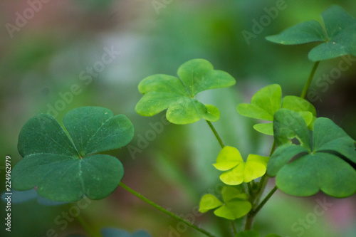 Luck