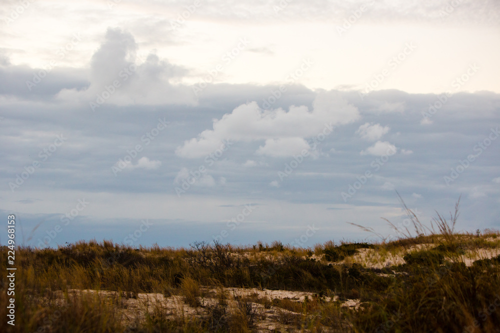 Fototapeta premium Coastal landscape