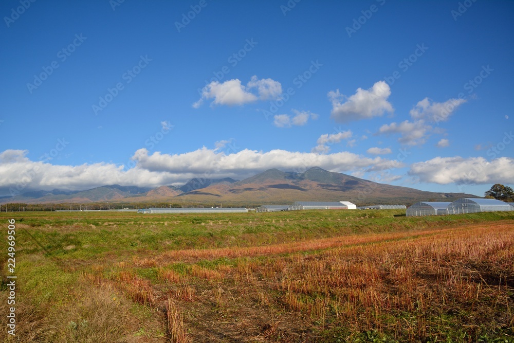 Fototapeta premium 遠くに八ヶ岳が見える秋の風景