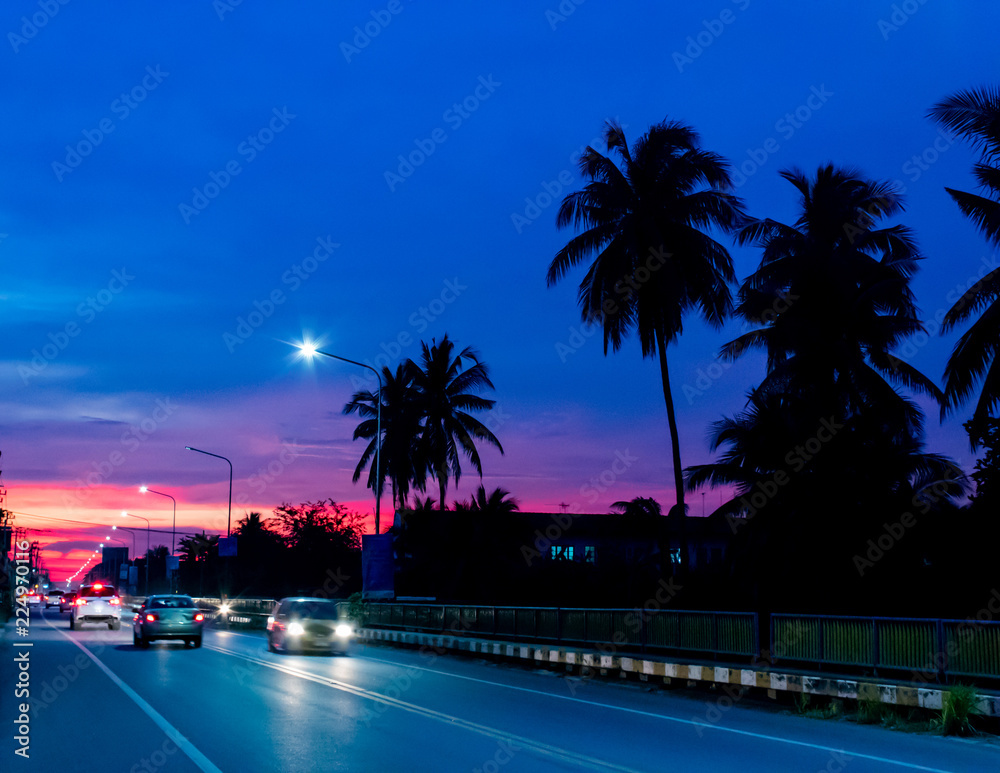Sunset light behind the coconut trees and the road.