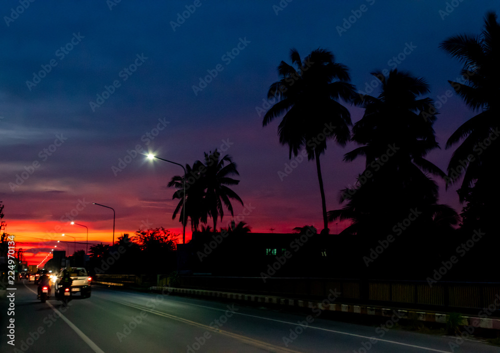 Sunset light behind the coconut trees and the road.