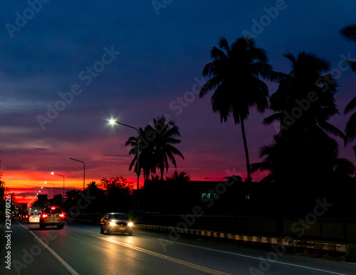 Sunset light behind the coconut trees and the road. © Nueng