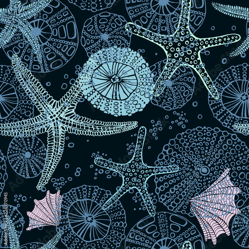 Seamless vector sea pattern. Seashell, various seashells, starfish