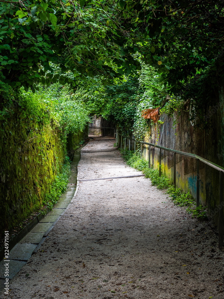 The road to Ljubljana castle