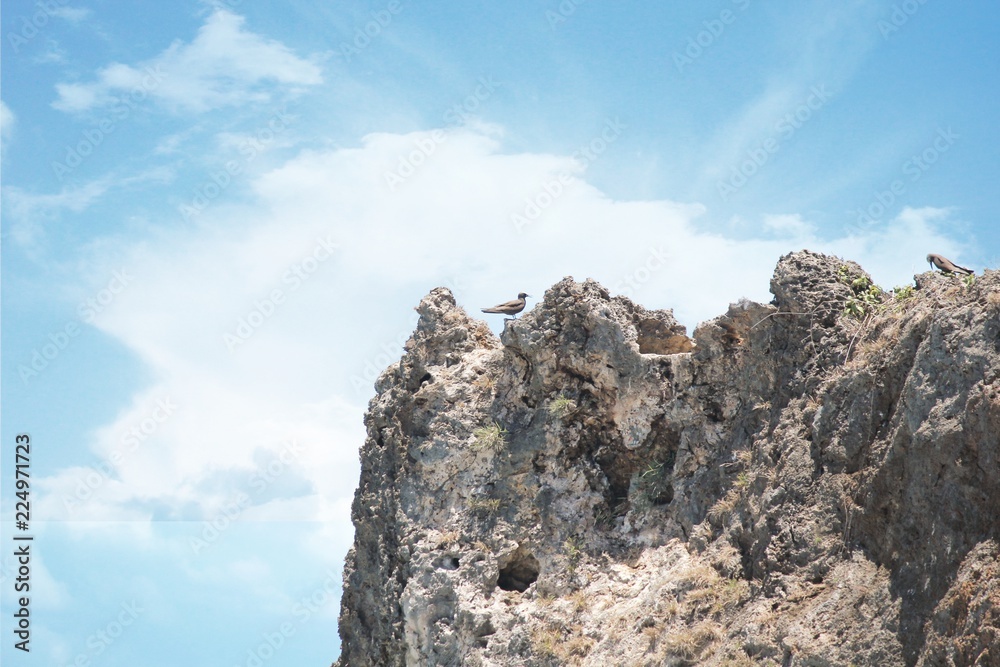 Cropped shot of the top of a cliff with a bird perched near the edge