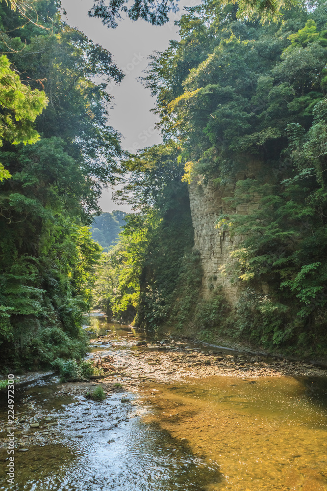 夏の養老渓谷の弘文洞跡の風景