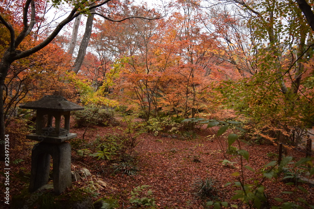 紅葉の風景 紅葉の風景