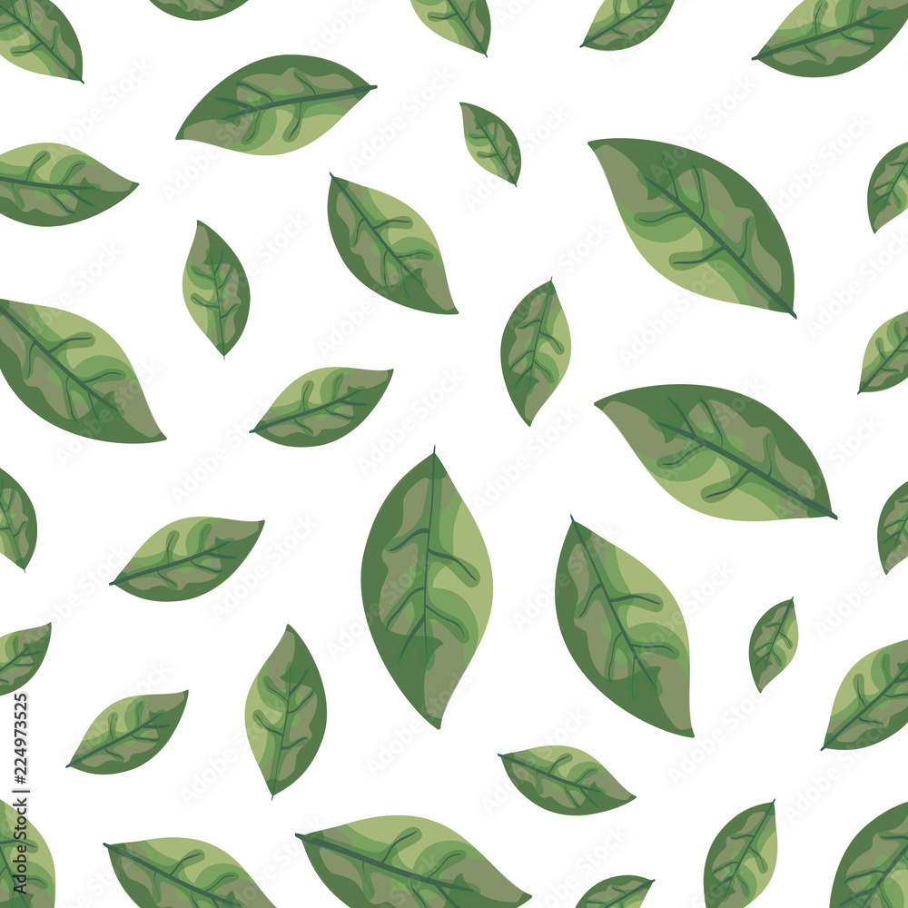 leafs plants ecology pattern background