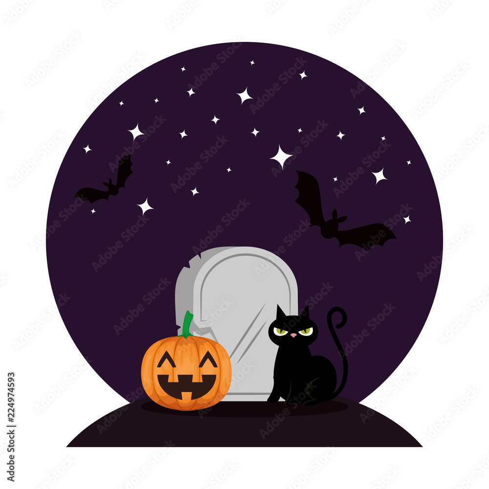 Fototapeta premium halloween black cat with pumpkin in the night