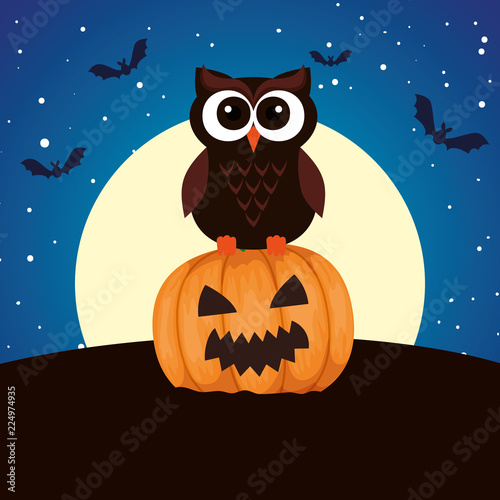 halloween owl with pumpkin on night