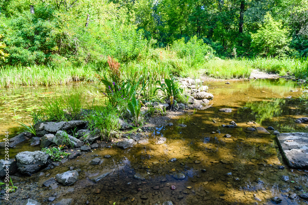 Small river in a forest on summer Small river in a forest on summer