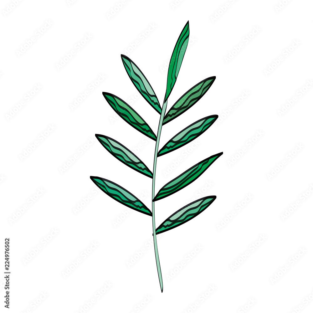 branch with leafs icon branch with leafs icon