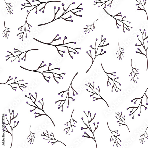branches with seeds pattern background