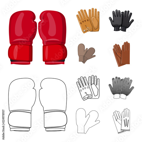 Isolated object of glove and winter sign. Collection of glove and equipment stock symbol for web.
