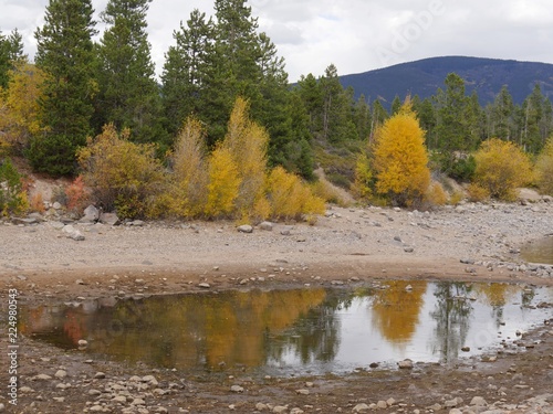 Colorful trees duplicated with reflections at a small pond of water at Dillon Lake in the Summit County, Colorado a beautiful day in autumn.