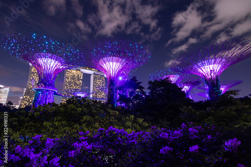 Gardens by the Bay  Singapore
