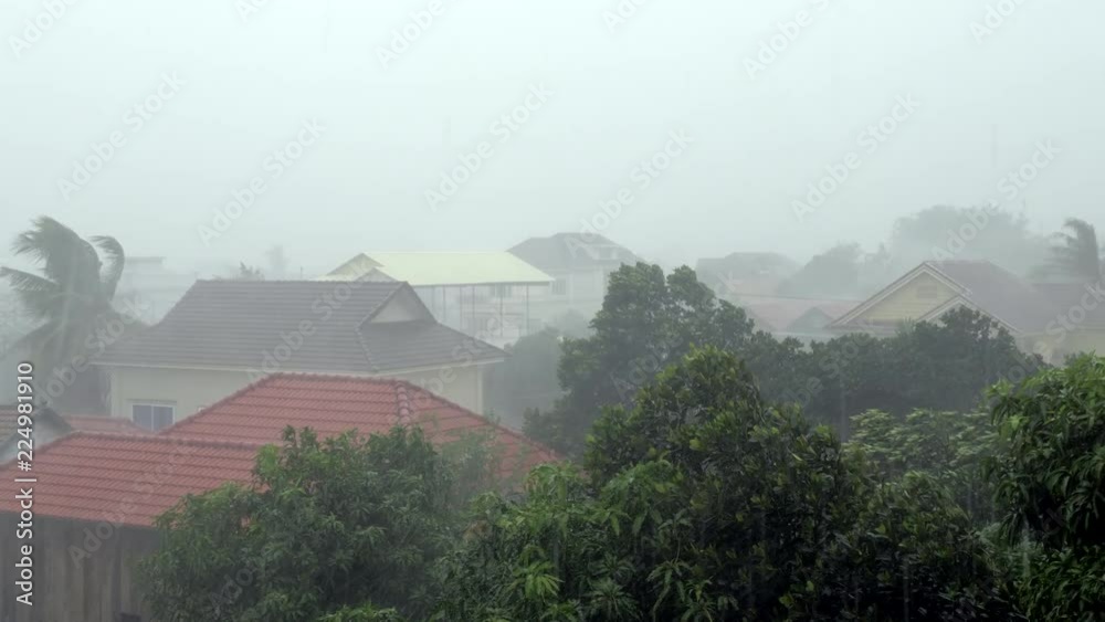 Tropical storm with torrential rain, high winds blowing trees and houses over