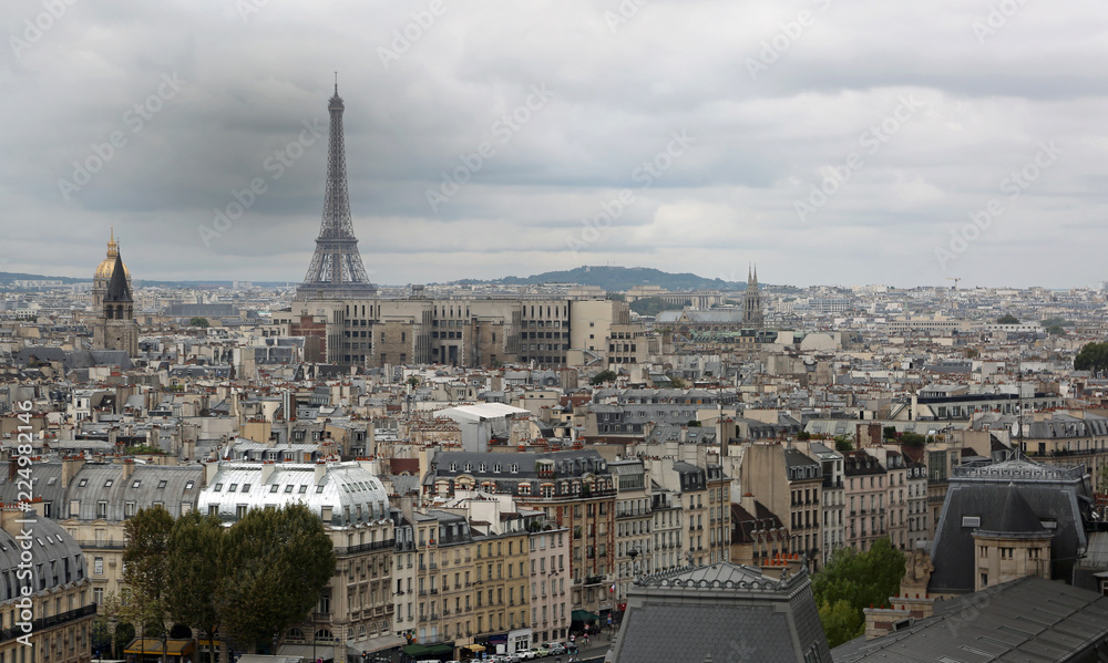 Panorama of the city and Eiffel Tower from Basilica of Notre Dam