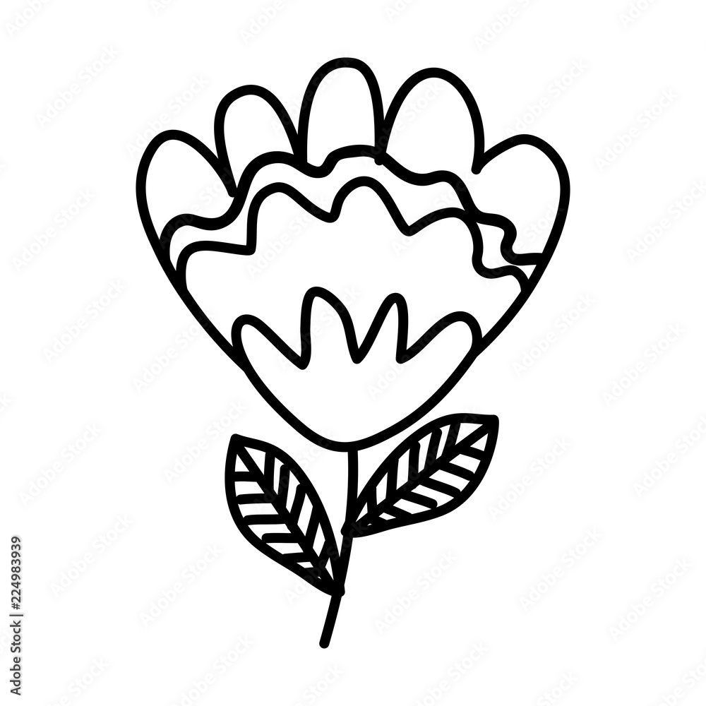 beautiful flower isolated icon beautiful flower isolated icon