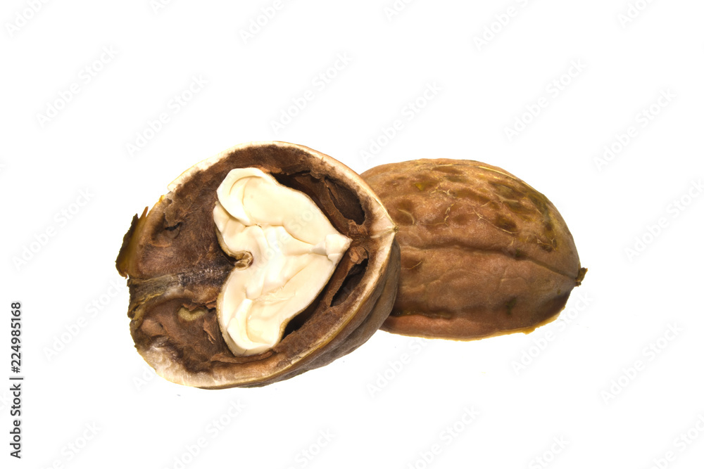 walnut isolated on white background walnut isolated on white background