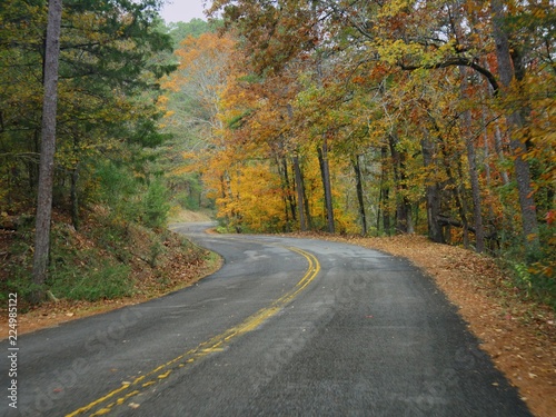 Winding road in a state park bordered by colorful trees in autumn