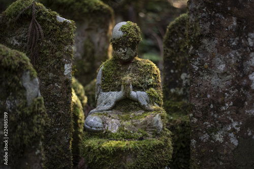 Nature and Meditation