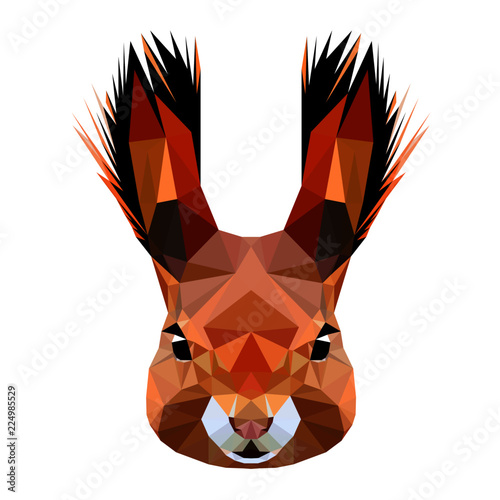 Squirrel head with fluffy ears, low poly triangular vector illustration isolated on white. Polygonal style trendy modern logo design. Suitable for printing on a t-shirt.