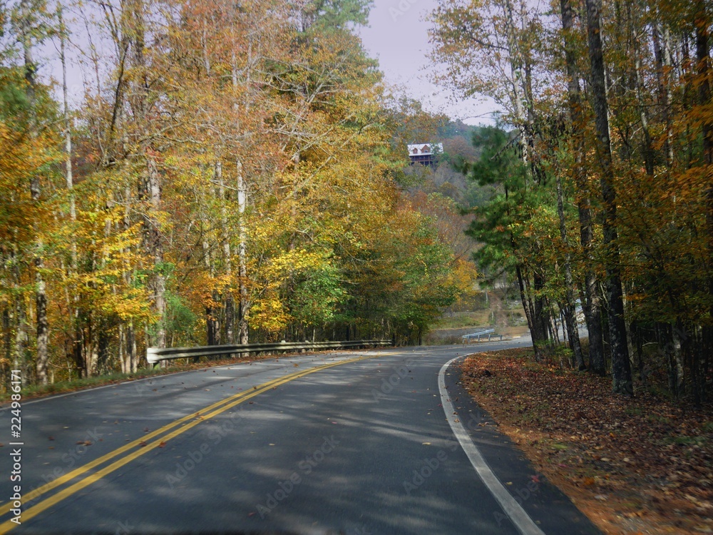 Winding paved road with colorful leaves from the trees and a log cabin in the background on a beautiful autumn day