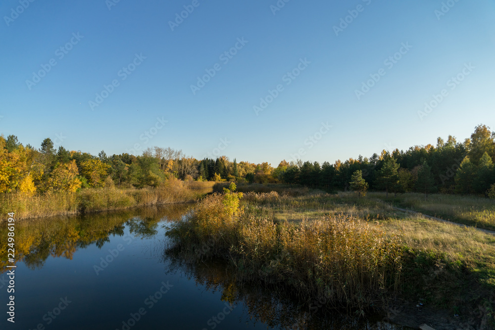 Autumn landscape. River in the forest in autumn.