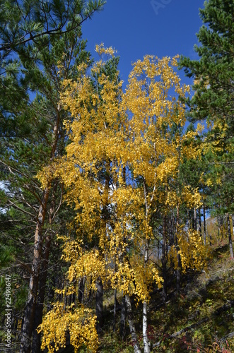 autumn mountains