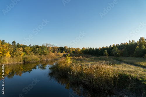 Autumn landscape. River in the forest in autumn.