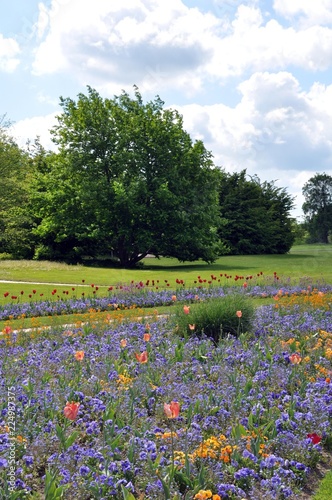 Wallpaper Mural Britzer Garten Berlin Torontodigital.ca