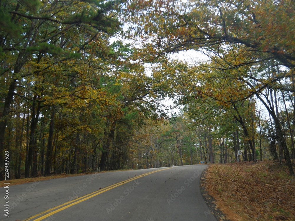 View at Beaver’s Bend State Park with the leaves of the trees in full autumn colors