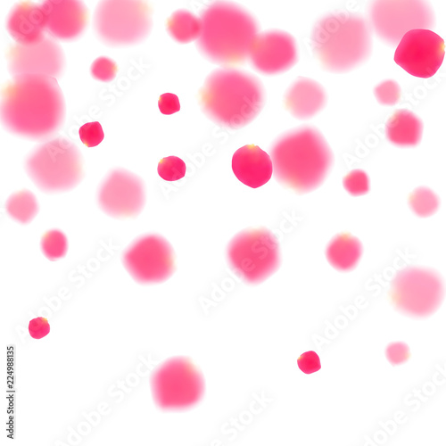 Pink rose petals falling vector valentine background.