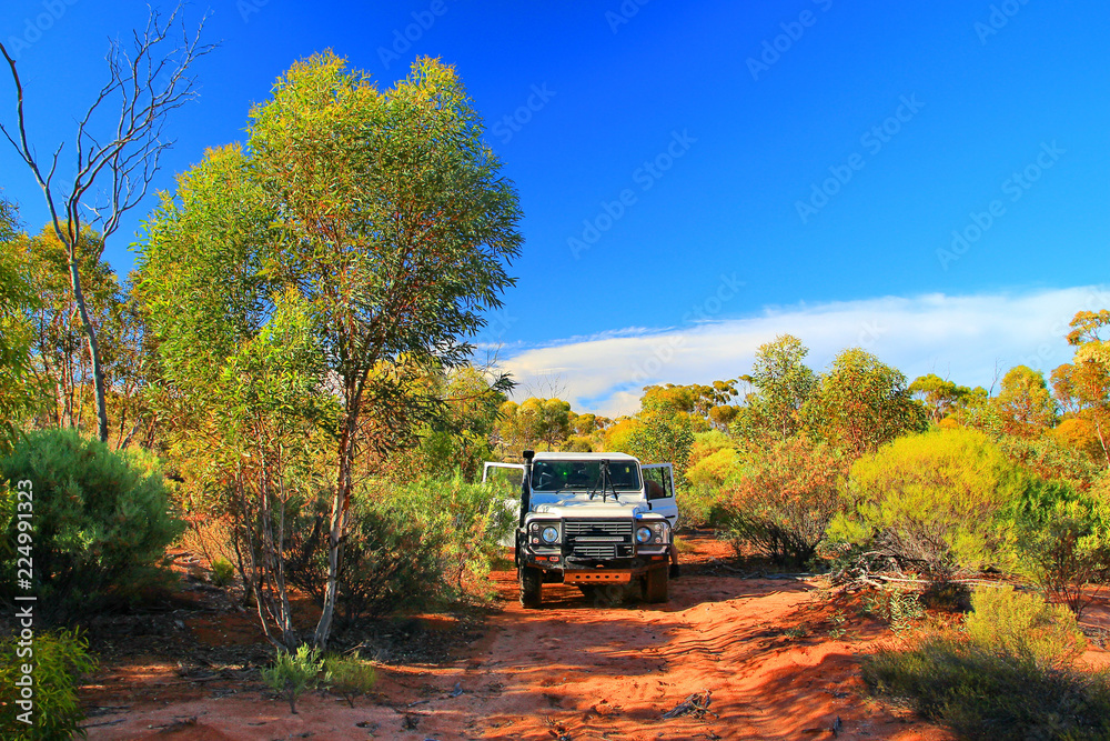 Driving in the bush
