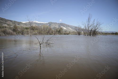 Wetlands with marsh vegetation in Padul photo