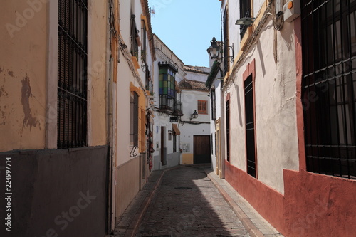 Narrow streets of Cordoba  Spain 