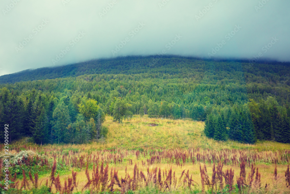Beautiful autumn nature of Norway. Forest on the mountainside. The cloud on top of the mountain Beautiful autumn nature of Norway. Forest on the mountainside. The cloud on top of the mountain