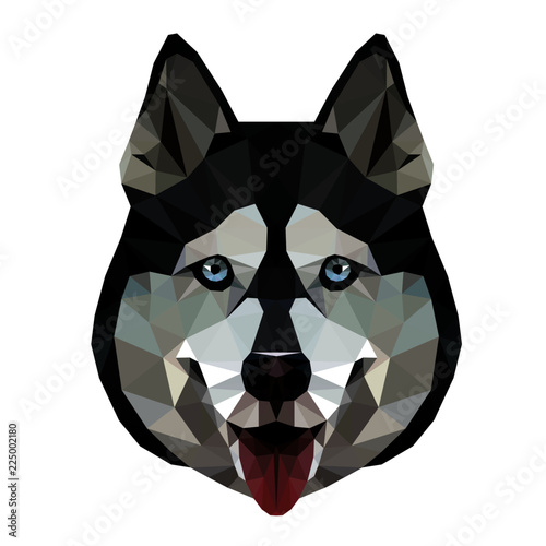 Low poly triangular husky dog face on white background, symmetrical vector illustration isolated.  Polygonal style trendy modern logo design. Suitable for printing on a t-shirt.