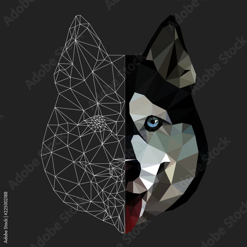 Low poly triangular and wireframe  husky dog face on grey background, symmetrical vector illustration isolated.  Polygonal style trendy modern logo design. Suitable for printing on a t-shirt.