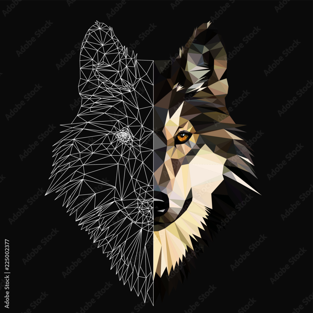 Fototapeta Wild wolf face on grey background, low poly triangular and wireframe vector illustration.  Polygonal style trendy modern logo design. Suitable for printing on a t-shirt.