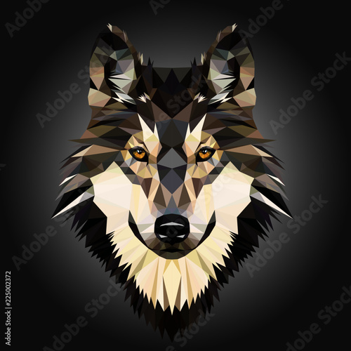 Low poly triangular dog wild wolf face on grey background, symmetrical vector illustration isolated.  Polygonal style trendy modern logo design. Suitable for printing on a t-shirt.