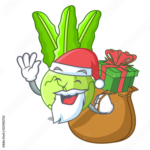 Santa with gift fresh cabbage kohlrabi on the mascot