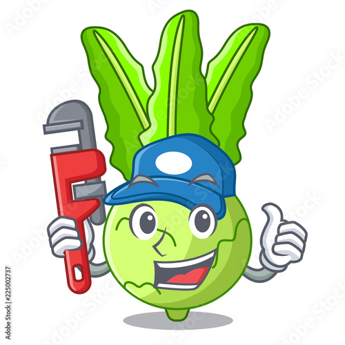 Plumber fresh cabbage kohlrabi on the mascot