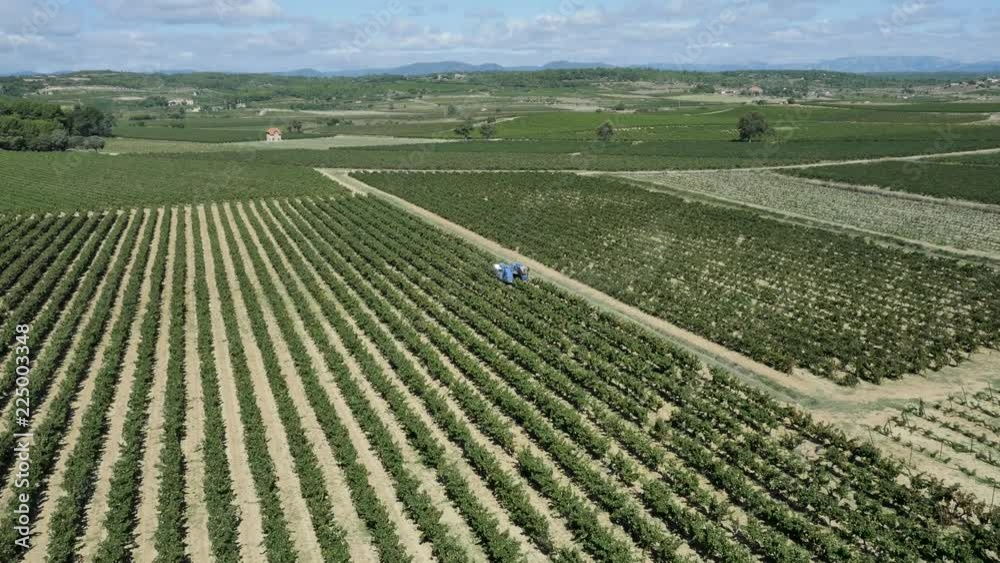 Grape Harvesting Machine, Aerial View, South of France Grape Harvesting Machine, Aerial View, South of France